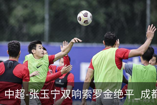 中超-张玉宁双响索罗金绝平 成都连扳两球2-2国安4连平
