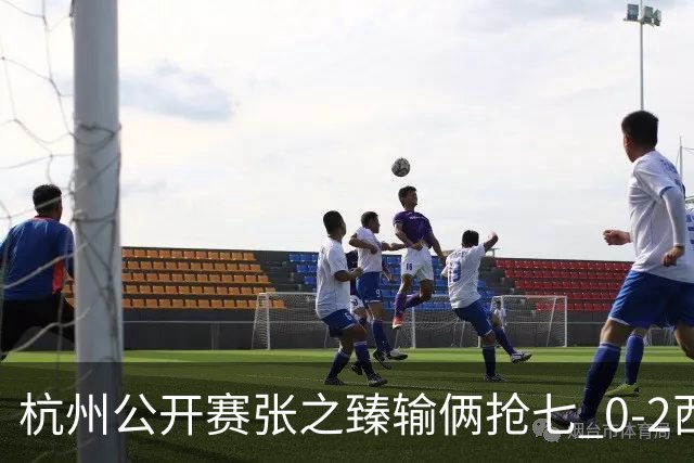 杭州公开赛张之臻输俩抢七 0-2西里奇收获亚军