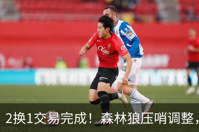 2换1交易完成！森林狼压哨调整，只为签下库明加